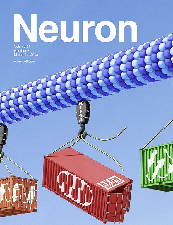 La copertina della rivista Neuron su cui Ã¨ stato pubblicato lo studio.